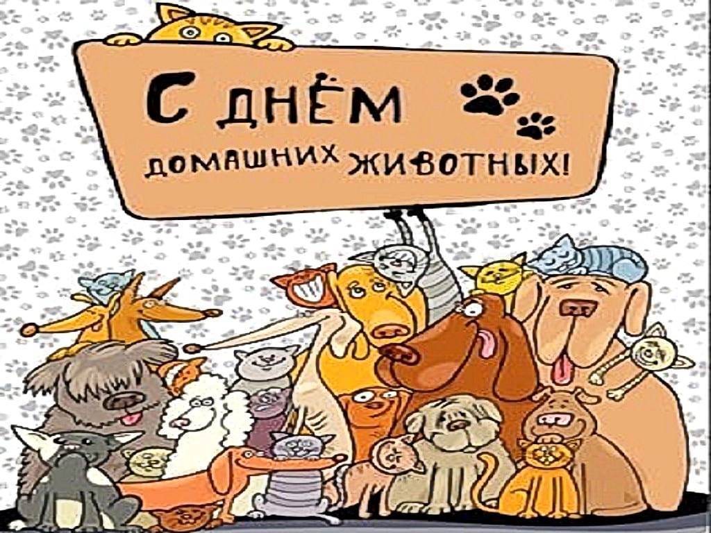 Подборка фильмов ко всемирному дню домашних животных