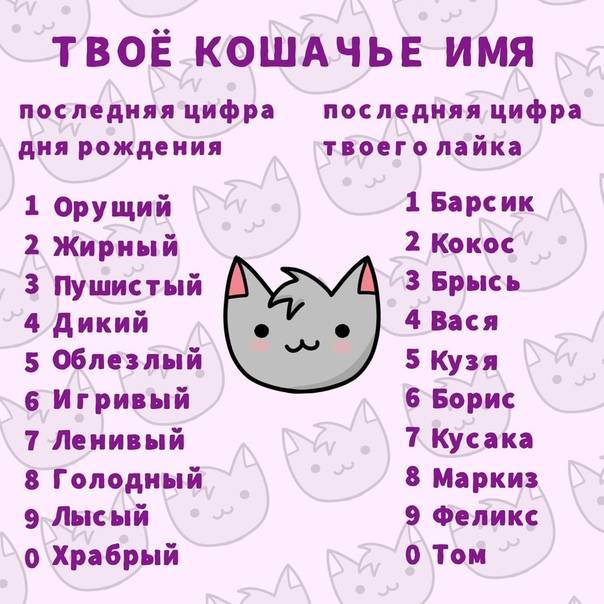 Имена для кошек