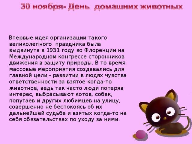 Подборка фильмов ко всемирному дню домашних животных - kot-pes