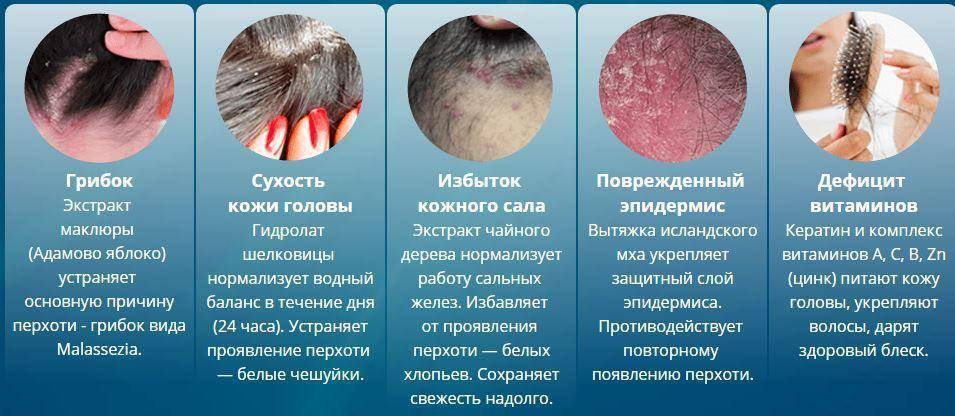 Стресс у животного. как снять стресс у животных