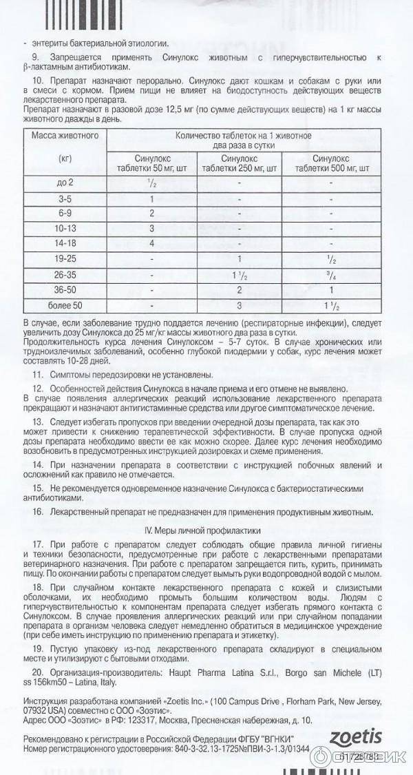 Обзор антибактериального препарата Синулокс