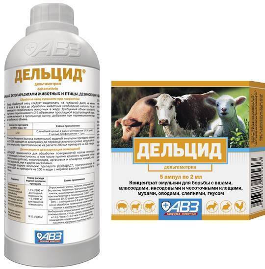 Дельцид (ампулы) для кошек, попугаев | отзывы о применении препаратов для животных от ветеринаров и заводчиков